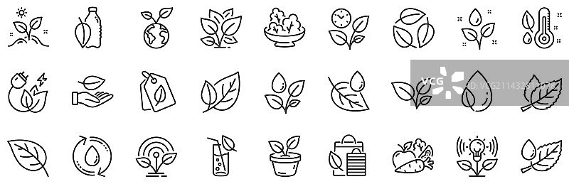 植物线条图标集的叶子生长的植物和图片素材