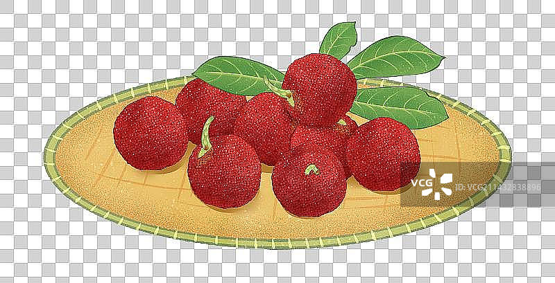 二十四节气节日芒种美食水果成熟杨梅插画元素图片素材