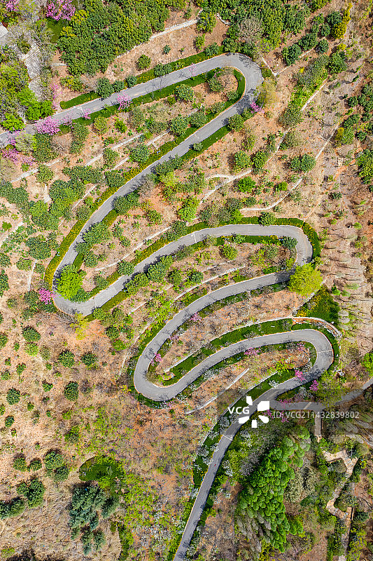航拍云南昆明樱花谷曲折山路 S弯道正上方俯拍视角 昆明滇池畔古滇精品湿地公园 蜿蜒崎岖小路图片素材