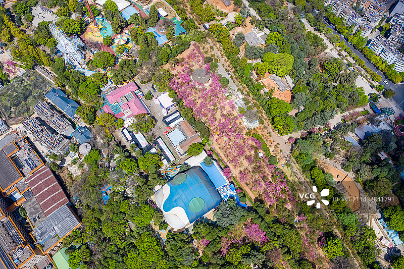 航拍云南昆明圆通山 昆明动物园 山林植被 园林绿化 花草树木 昆明圆通山动物园图片素材