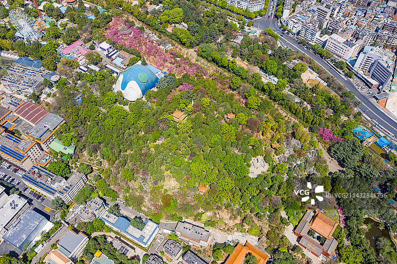 航拍云南昆明圆通山 昆明动物园 山林植被 园林绿化 花草树木 昆明圆通山动物园图片素材
