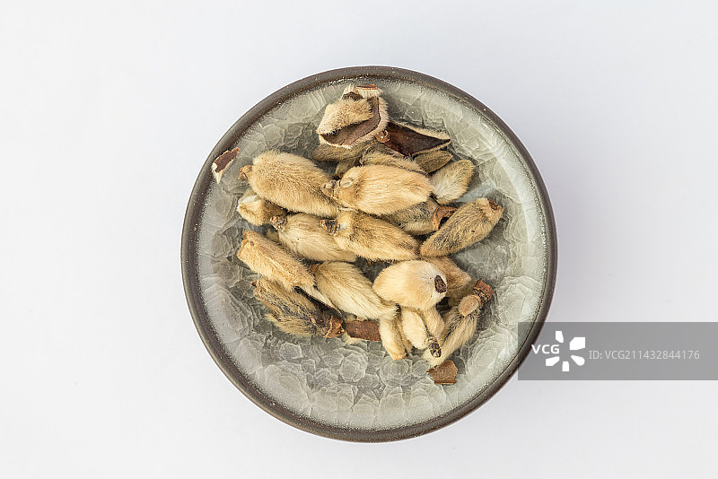 辛夷-中医中药材草药临床医药标本百科白背景俯拍合集图片素材