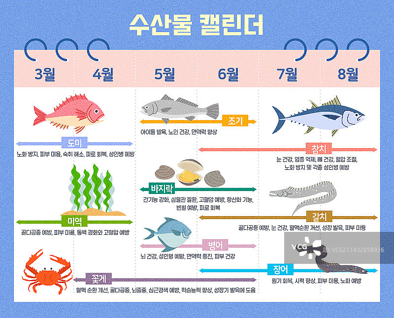 海鲜鱼市季节性美食日历：鲷鱼、海藻、蓝蟹、鲳鱼、海鳗、带鱼、金枪鱼、黄花鱼、蛤蜊图片素材
