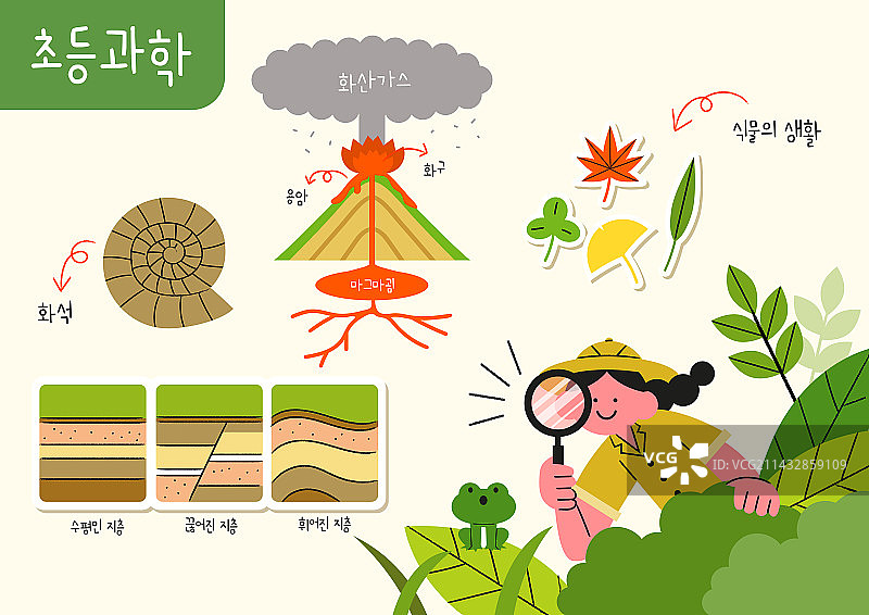 小学教育，科学，教科书，科目，小学生，火山坑，化石，岩层，勘探，树叶，火山气体图片素材