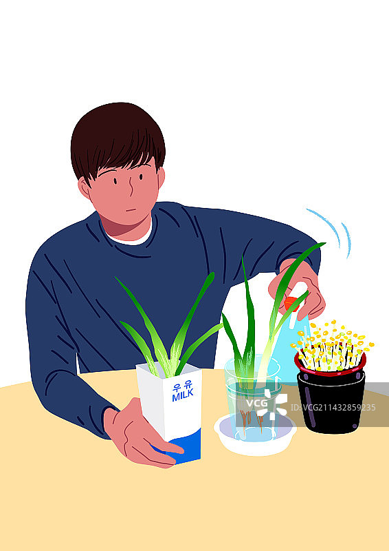 储蓄，非消费挑战，生活方式，葱，盆栽，园艺图片素材