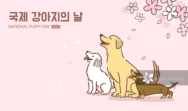 国际狗狗日：宠物狗，伴侣动物，樱花，寻回犬，贵宾犬，腊肠犬图片素材