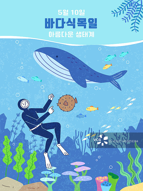 海洋、植树节、环境保护、潜水、海底世界、海藻、河豚、鲸鱼图片素材