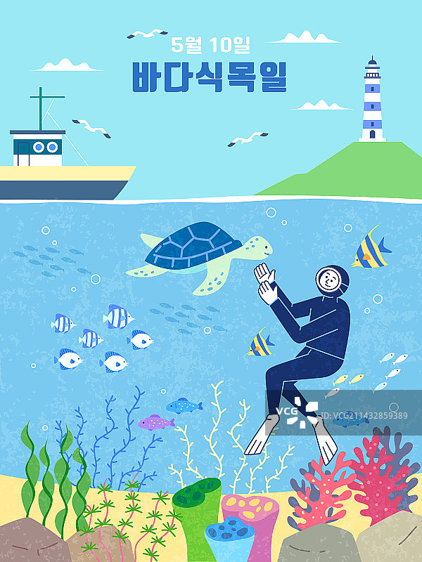 海洋，植树节，环境保护，潜水，海底世界，海藻，海龟图片素材