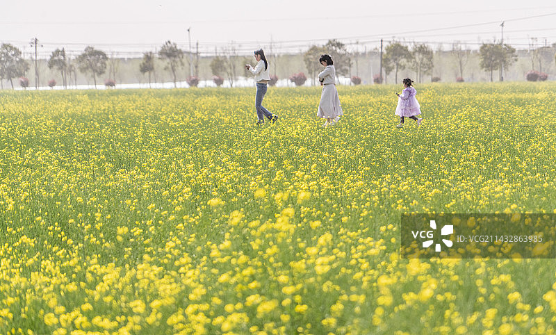 走进春天图片素材