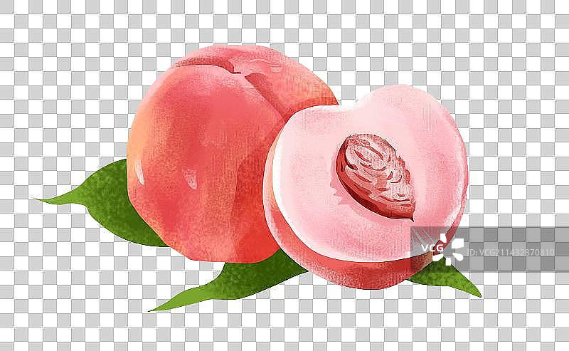 水果插画之桃子图片素材