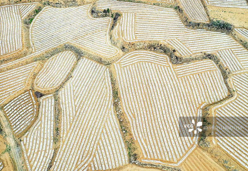 航拍山东枣庄山亭区山坡梯田美如几何图案图片素材