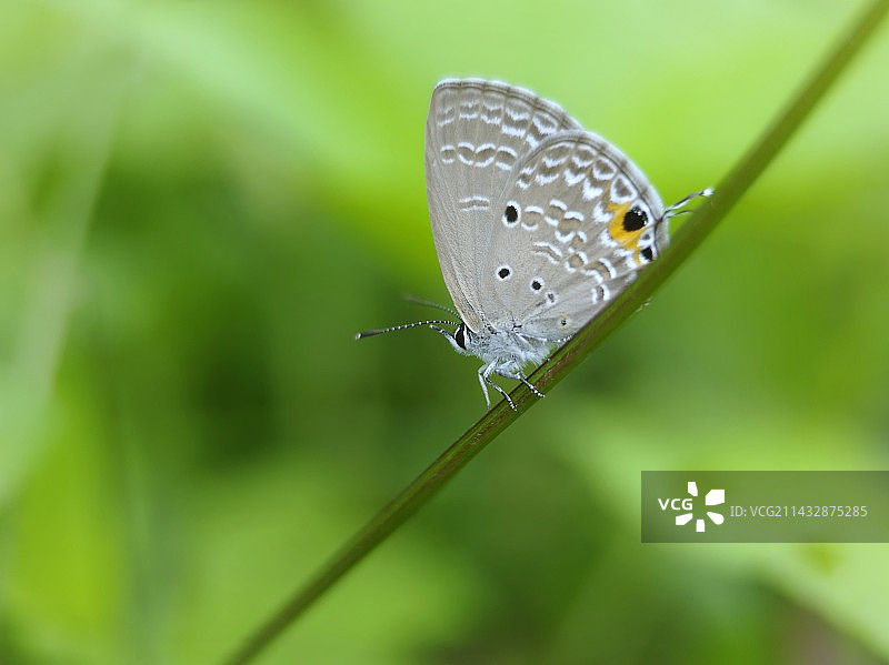 滑滑梯图片素材