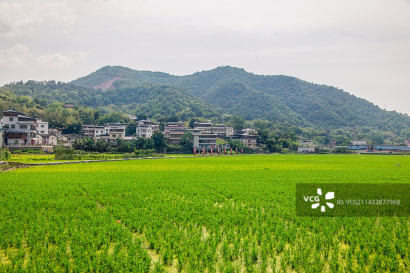 乡村田园风光图片素材