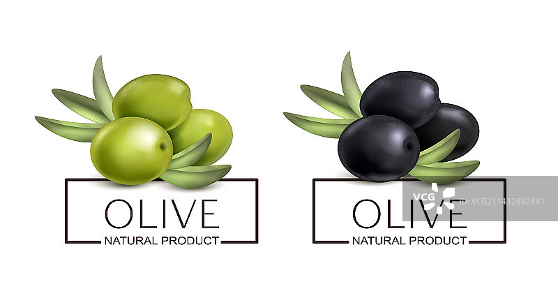 天然橄榄产品标签图片素材