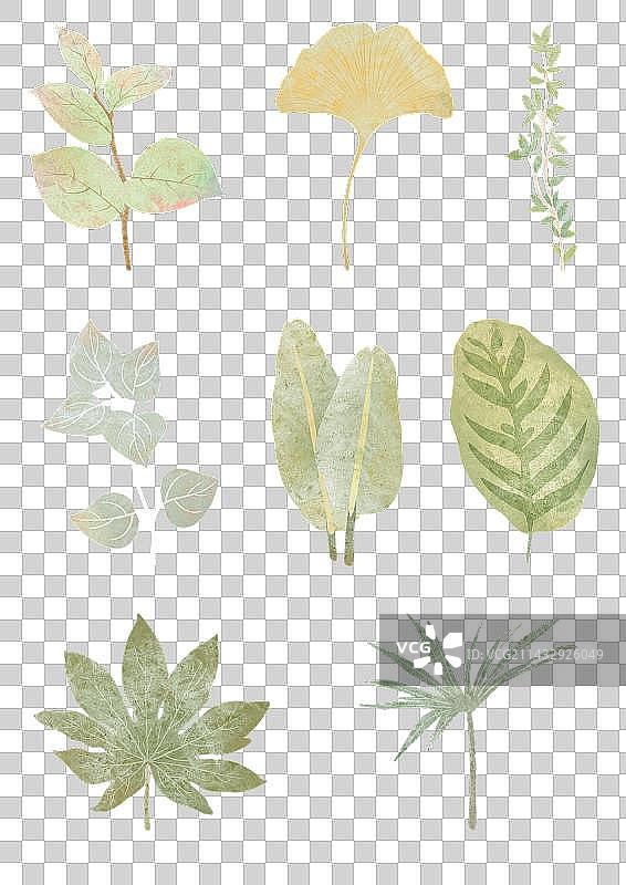 叶子免抠素材图片素材