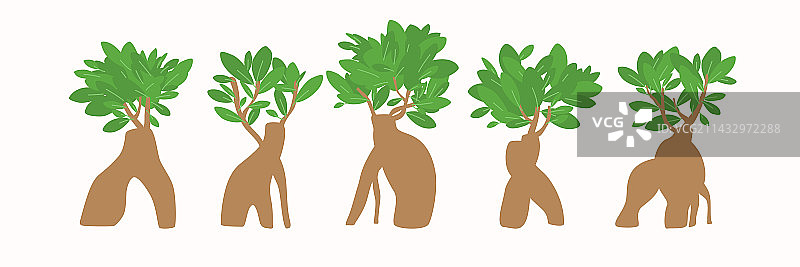 扁平风格盆景植物图片素材