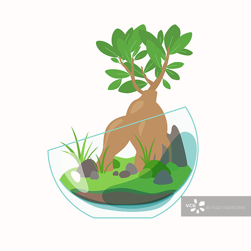 玻璃容器中的绿色植物图片素材