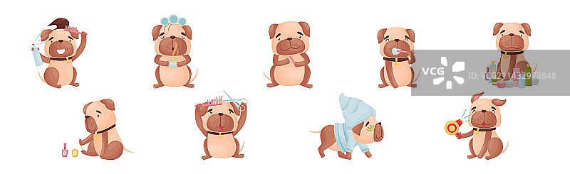 卡通巴哥犬做水疗和卫生图片素材