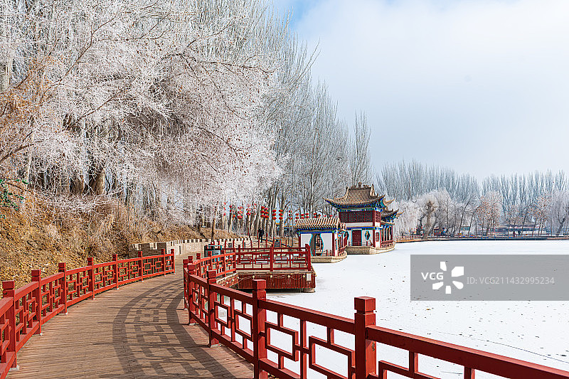 酒泉泉湖公园雾凇雪景图片素材