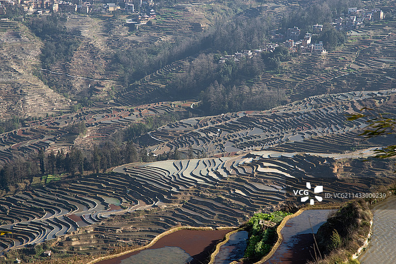 晨雾后的元阳梯田图片素材