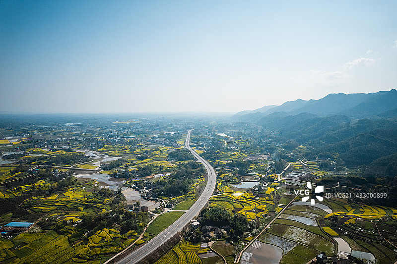 蓝天白云下的垫江沙坪油菜花海图片素材