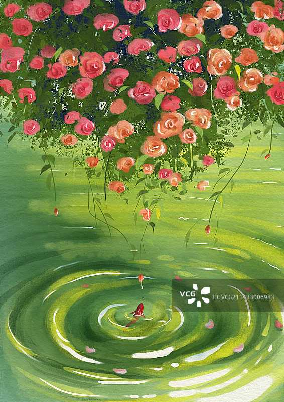 水里的鱼图片素材