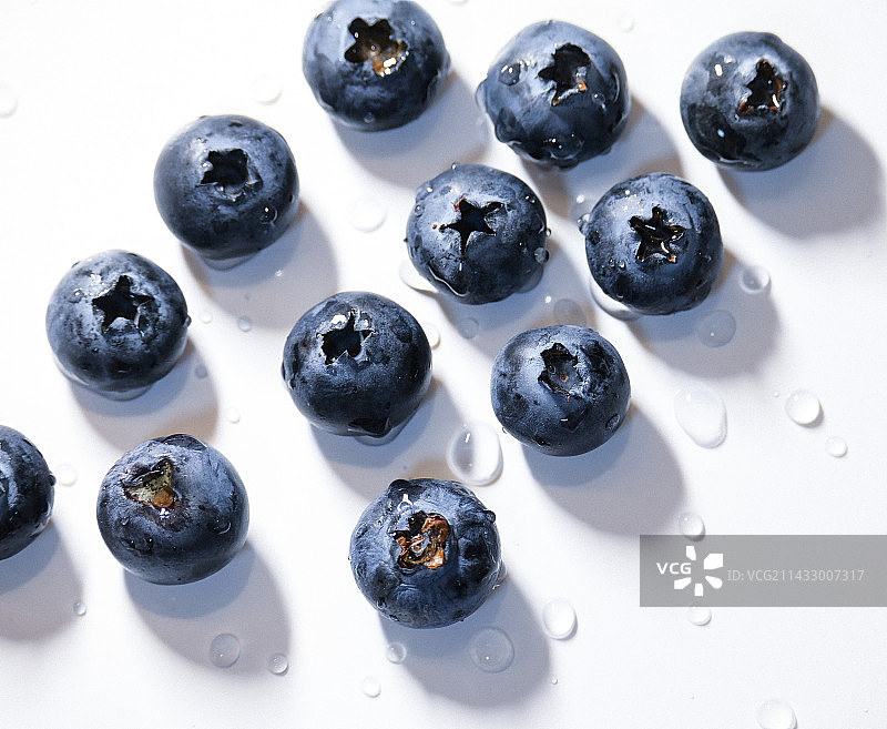 蓝莓静物摄影图片素材