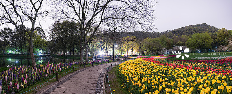 春天的杭州西湖太子湾公园图片素材