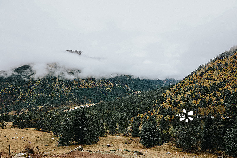 云雾中的党岭群山图片素材
