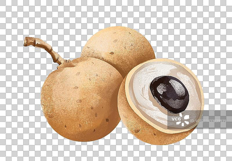 龙眼水果插画元素图片素材