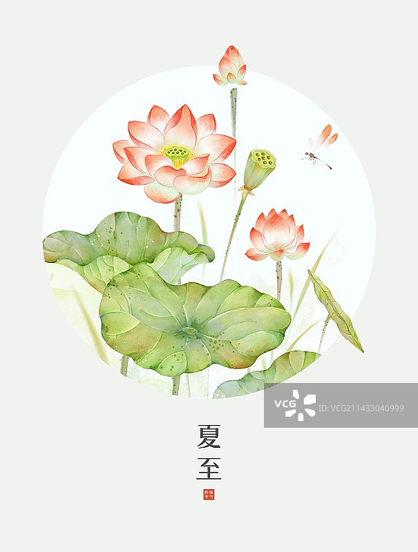 夏至节气-新中式清新夏天荷花莲花莲池海报图片素材