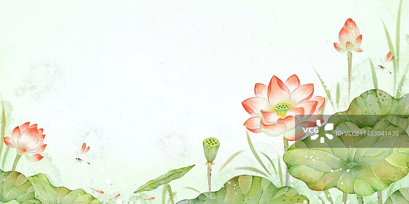 新中式清新古风夏天荷花莲花莲池背景插画图片素材