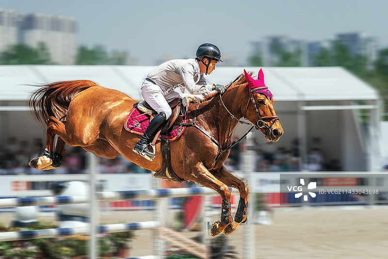 马术图片素材