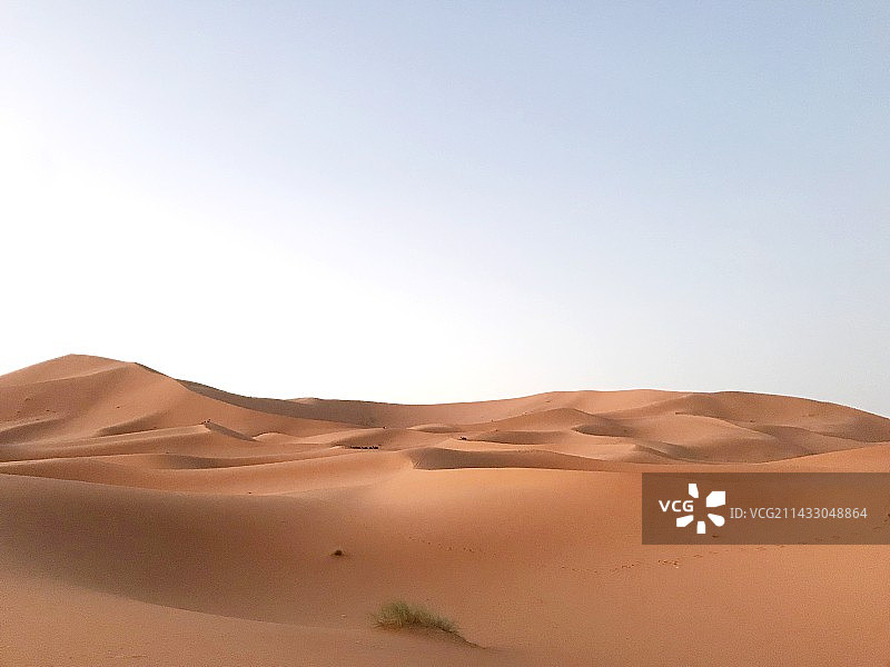 撒哈拉沙漠的故事图片素材