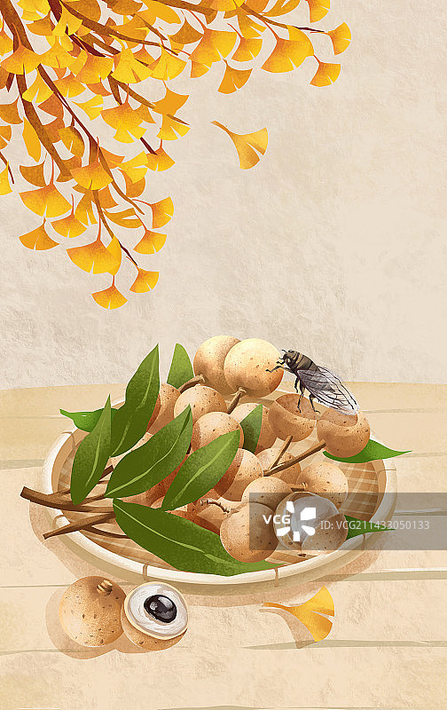 二十四节气之大暑特色水果 龙眼图片素材