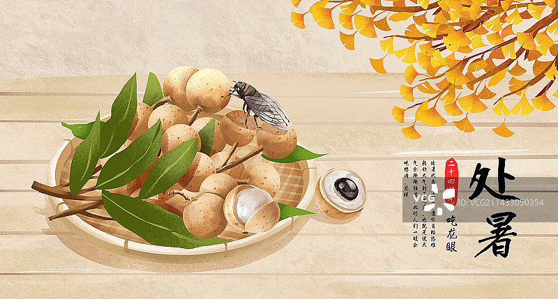 二十四节气之处暑特色水果 龙眼图片素材