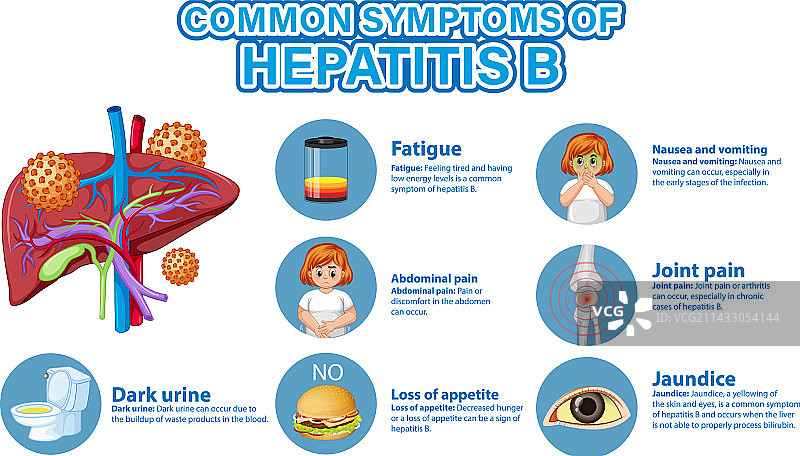 乙型肝炎常见症状宣传海报图片素材