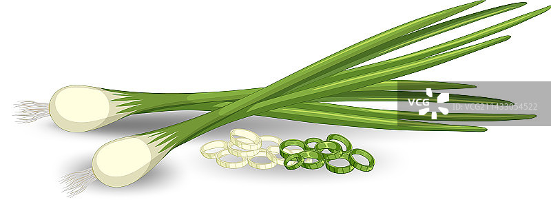 不同形态的葱图片素材