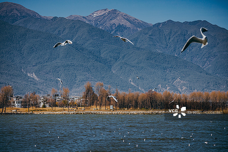 大理洱海风光图片素材