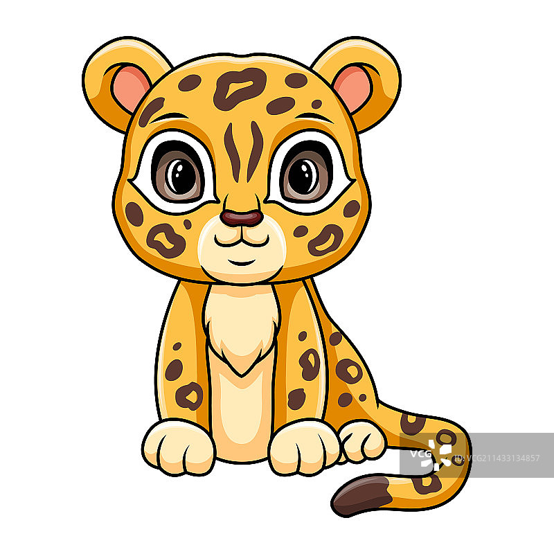 可爱有趣的小猎豹坐着图片素材