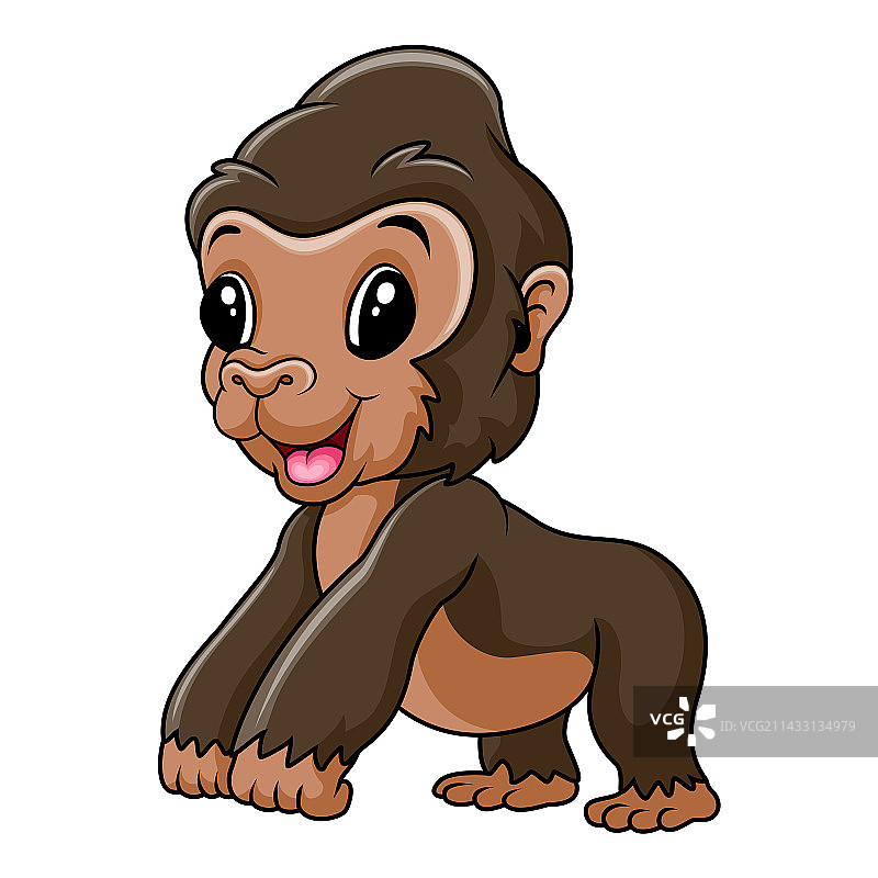 可爱的微笑小猩猩图片素材