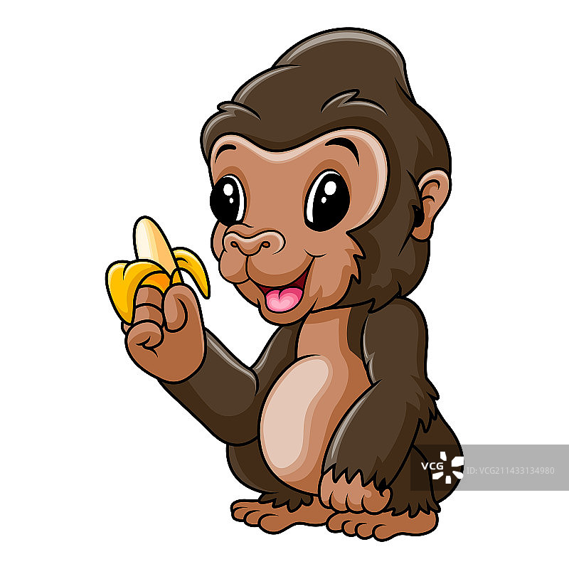 拿着香蕉的可爱小猩猩图片素材