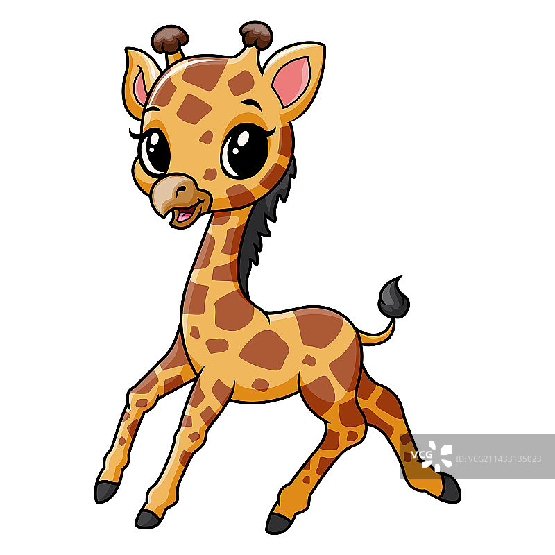 可爱小长颈鹿摆姿势图片素材