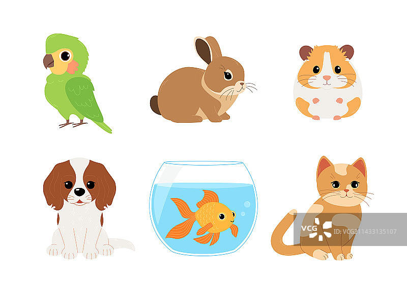 家养宠物可爱动物合集图片素材