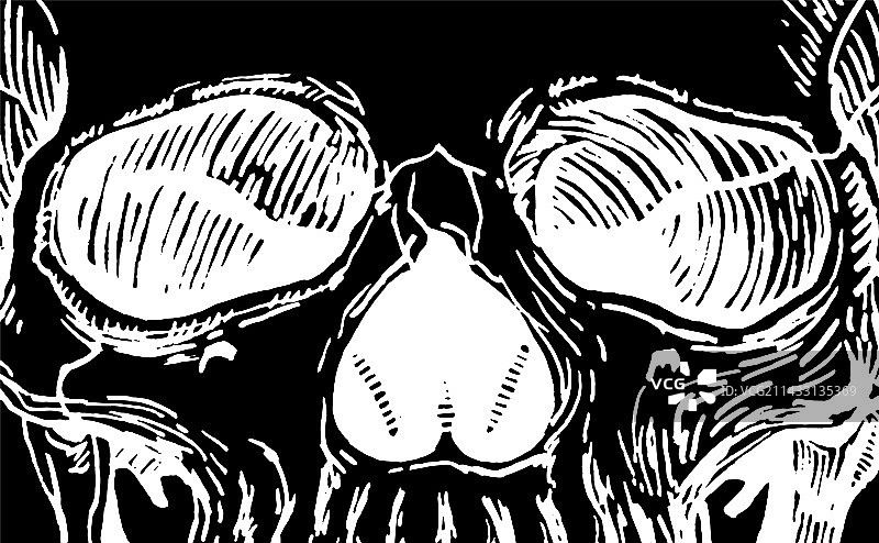 抽象头骨面部特写图片素材