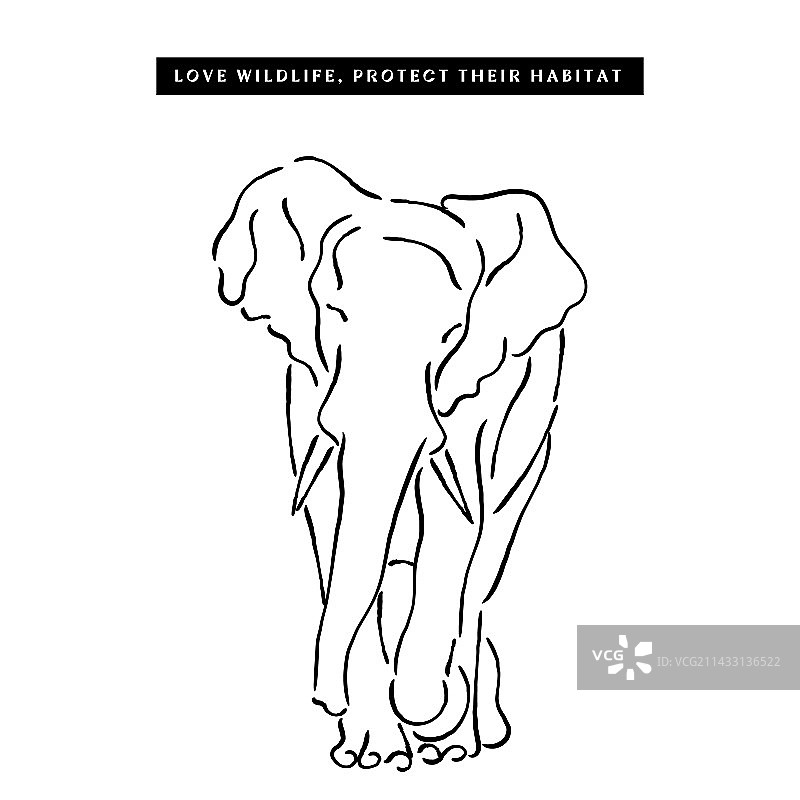 喜爱大象和野生动物图片素材