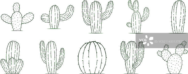 仙人掌植物设计合集图片素材