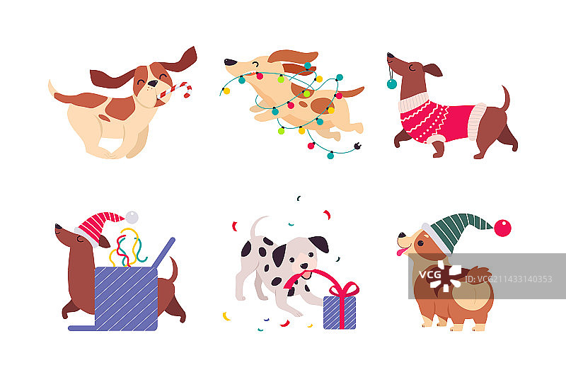 不同品种的可爱狗狗庆祝圣诞节图片素材