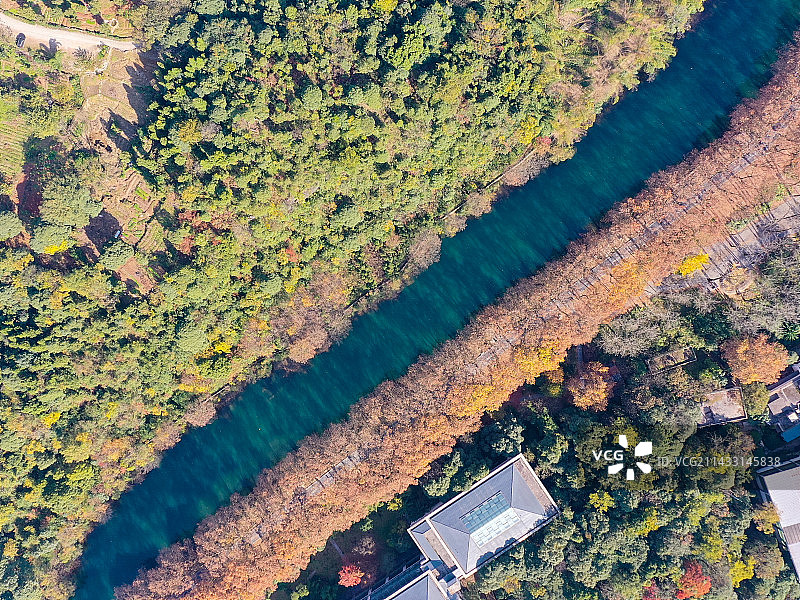 贵阳市 花溪 黄金大道图片素材