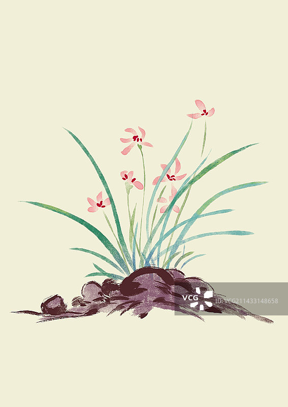 粉色兰花国画图片素材